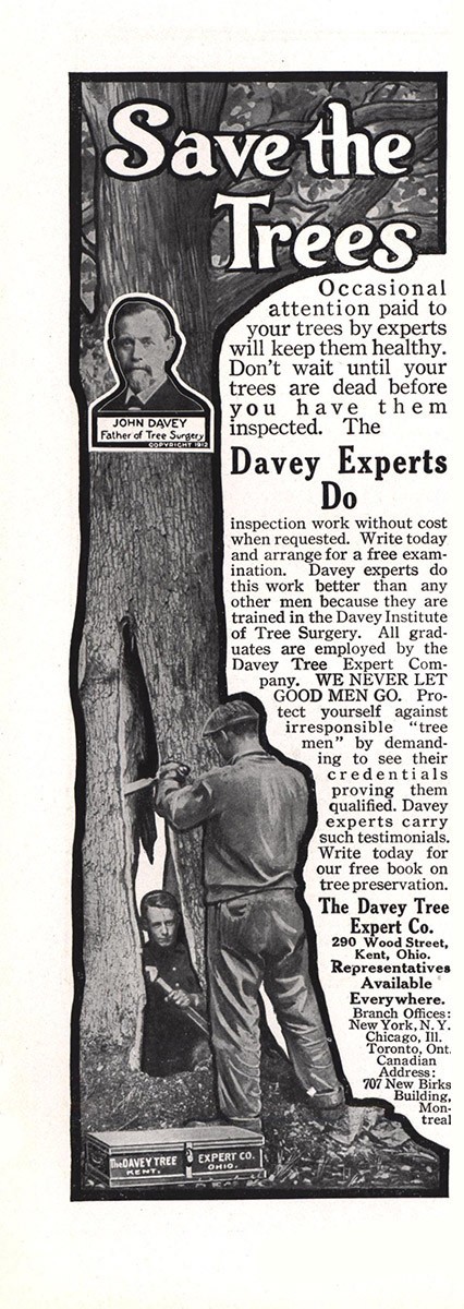 1912 Davey Tree Expert: Save the Trees Vintage Print Ad