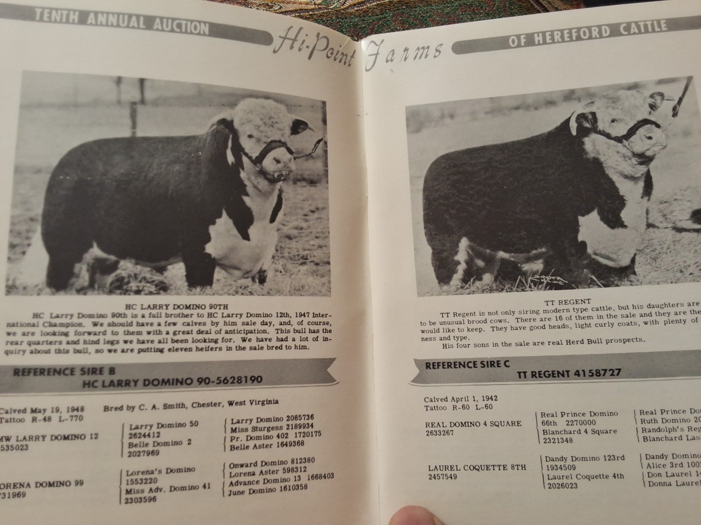 Pair 2 Vintage Hi-Point Farms Tenth Annual Auction Catalogs Romeo Michigan