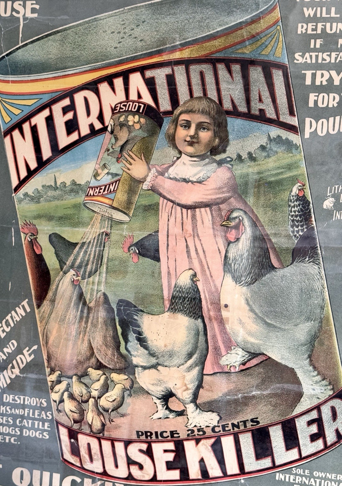 Early 1900’s International Louse Lice Killer Advertising Poster In Maple Frame