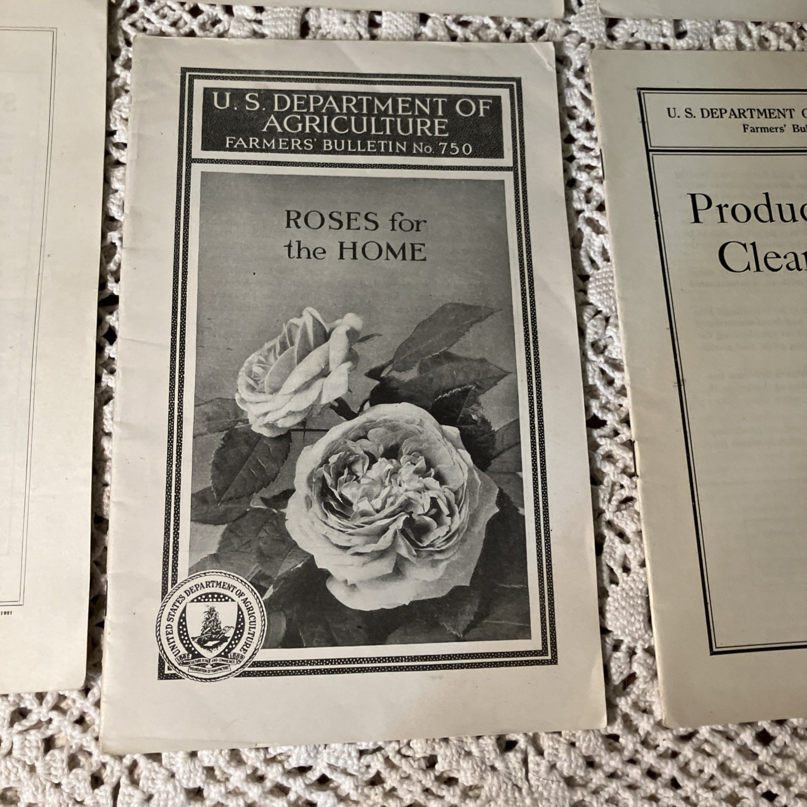Department of Agriculture Antique 1919 & 20&rsquo;s Bulletin&rsquo;s Pamphlet&rsquo;s Lot 6-B