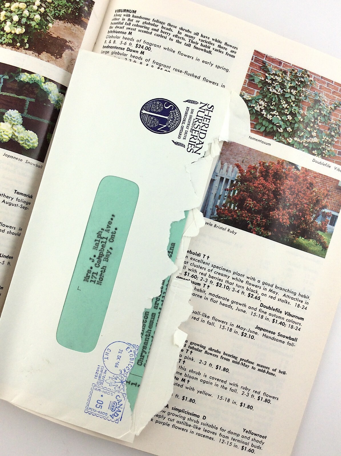 Vintage 1966 Seed Catalog Sheridan Nurseries Limited Ontario Canada Q288