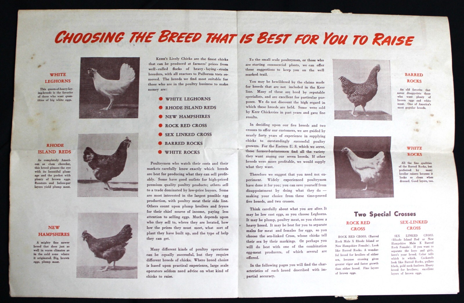 KERR CHICKERIES CHICKEN FARMING POULTRY MANUAL ADVERTISING MAILER 1940s VINTAGE