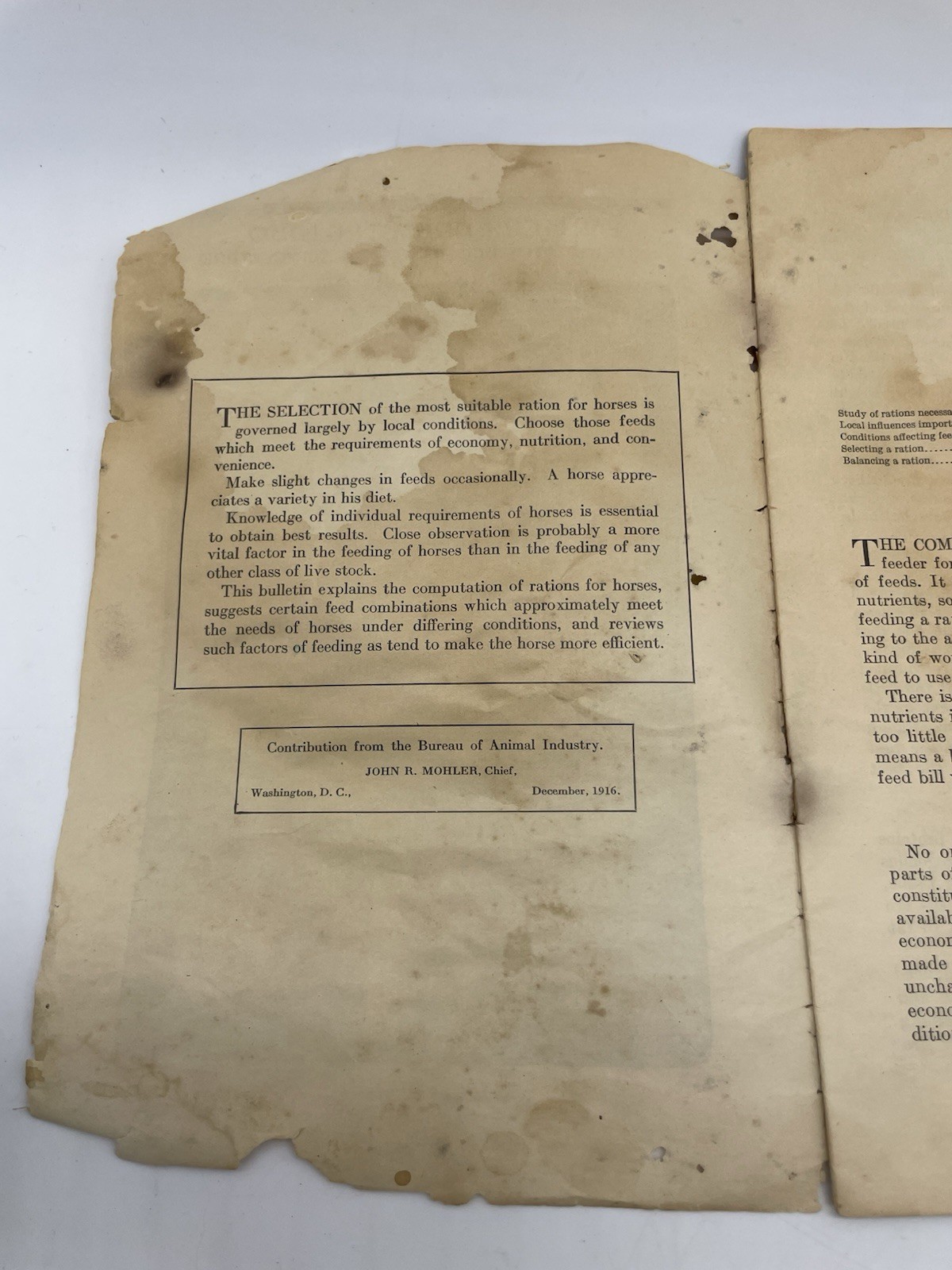 1916 US Department of Agriculture Farmers Bulletin #1030 Feeding Horses