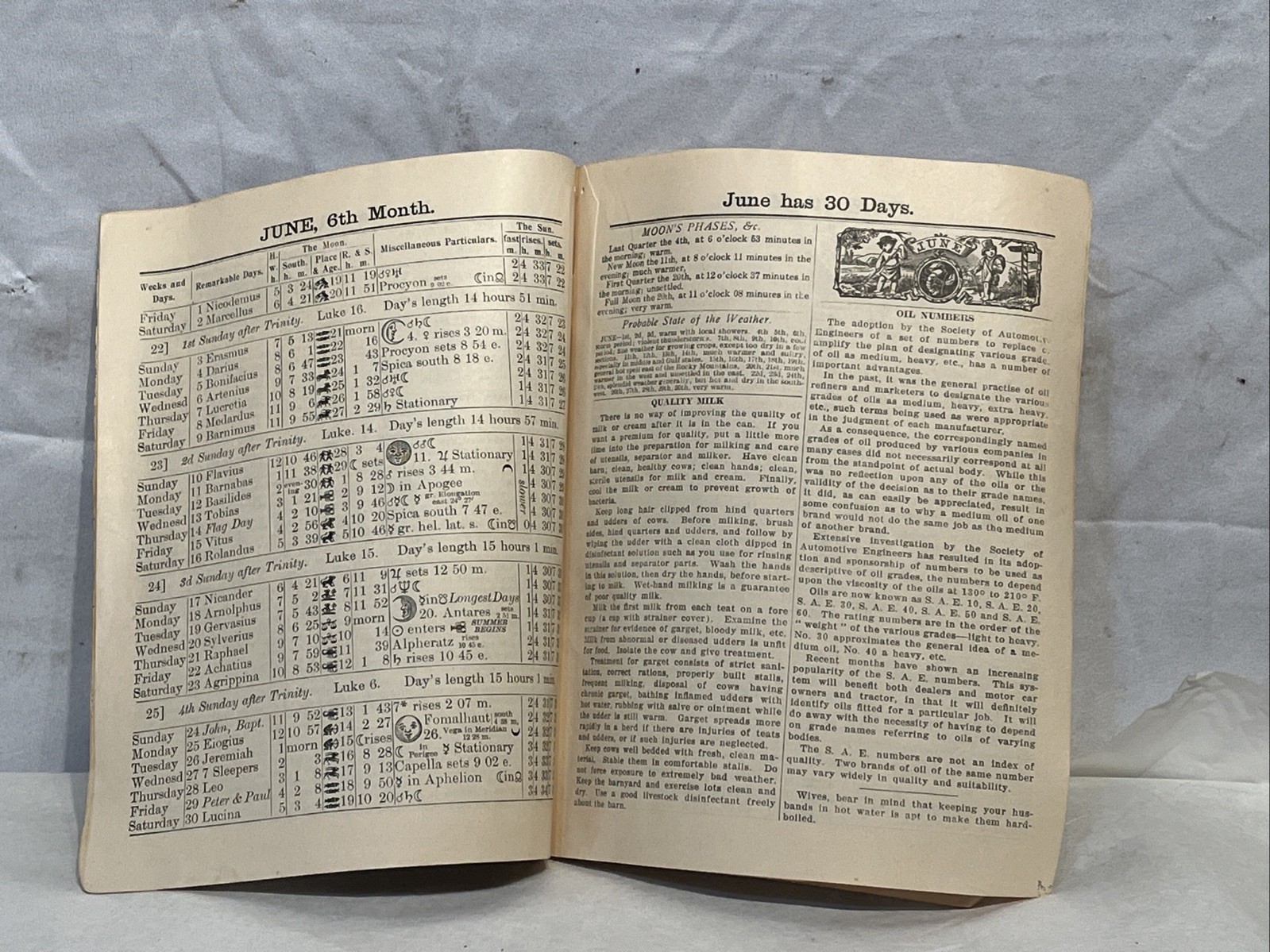 1934 Agricultural Almanac Farm Guide Vintage Farming Book
