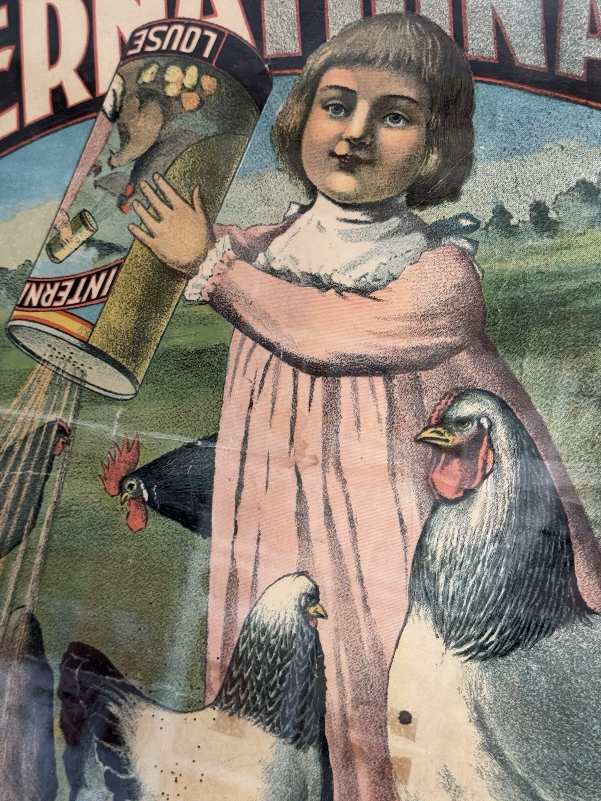 Early 1900’s International Louse Lice Killer Advertising Poster In Maple Frame