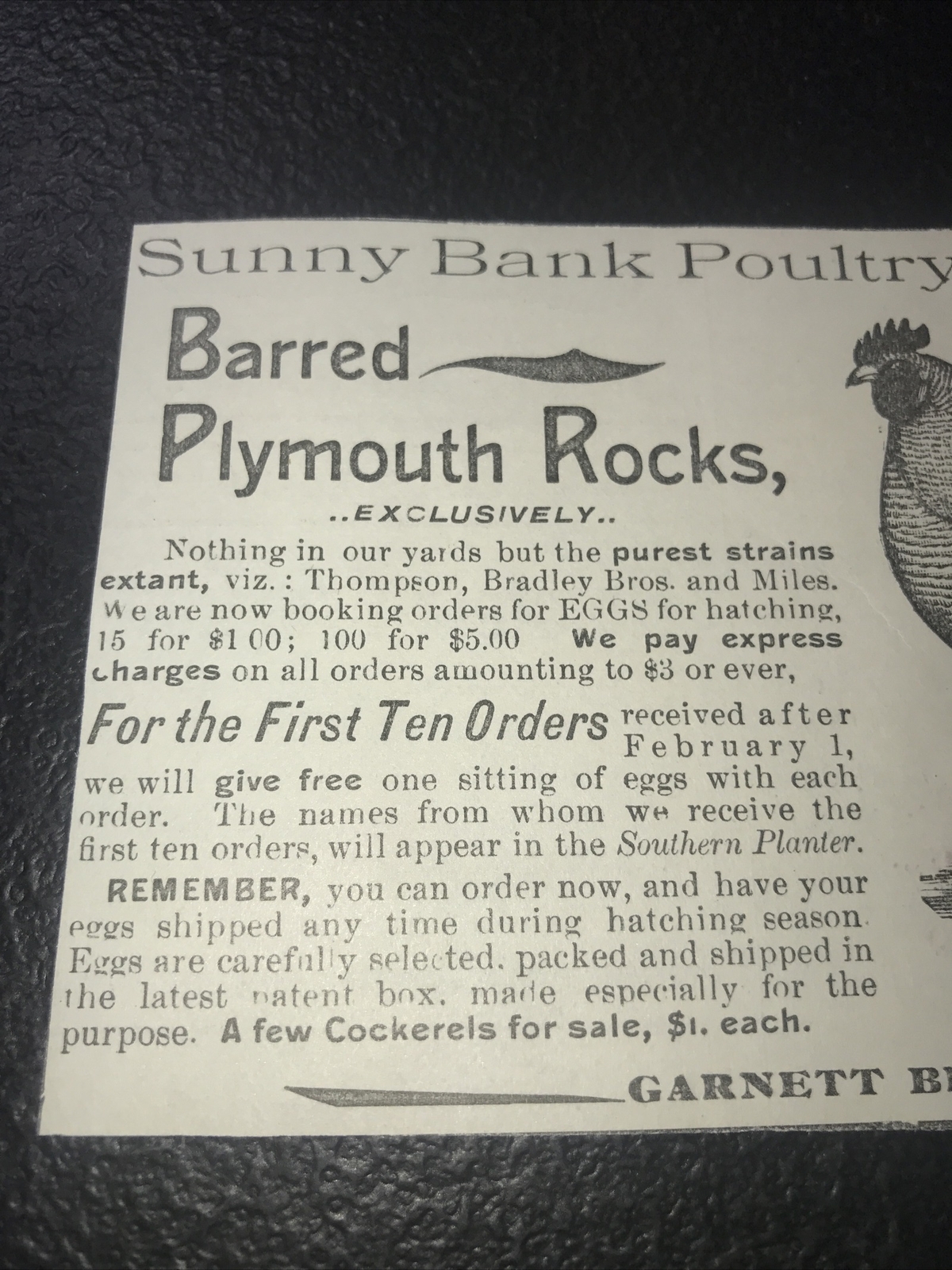 1900 Sunny Bank Poultry Farm Chicken Advertising – Mitchells – Virginia