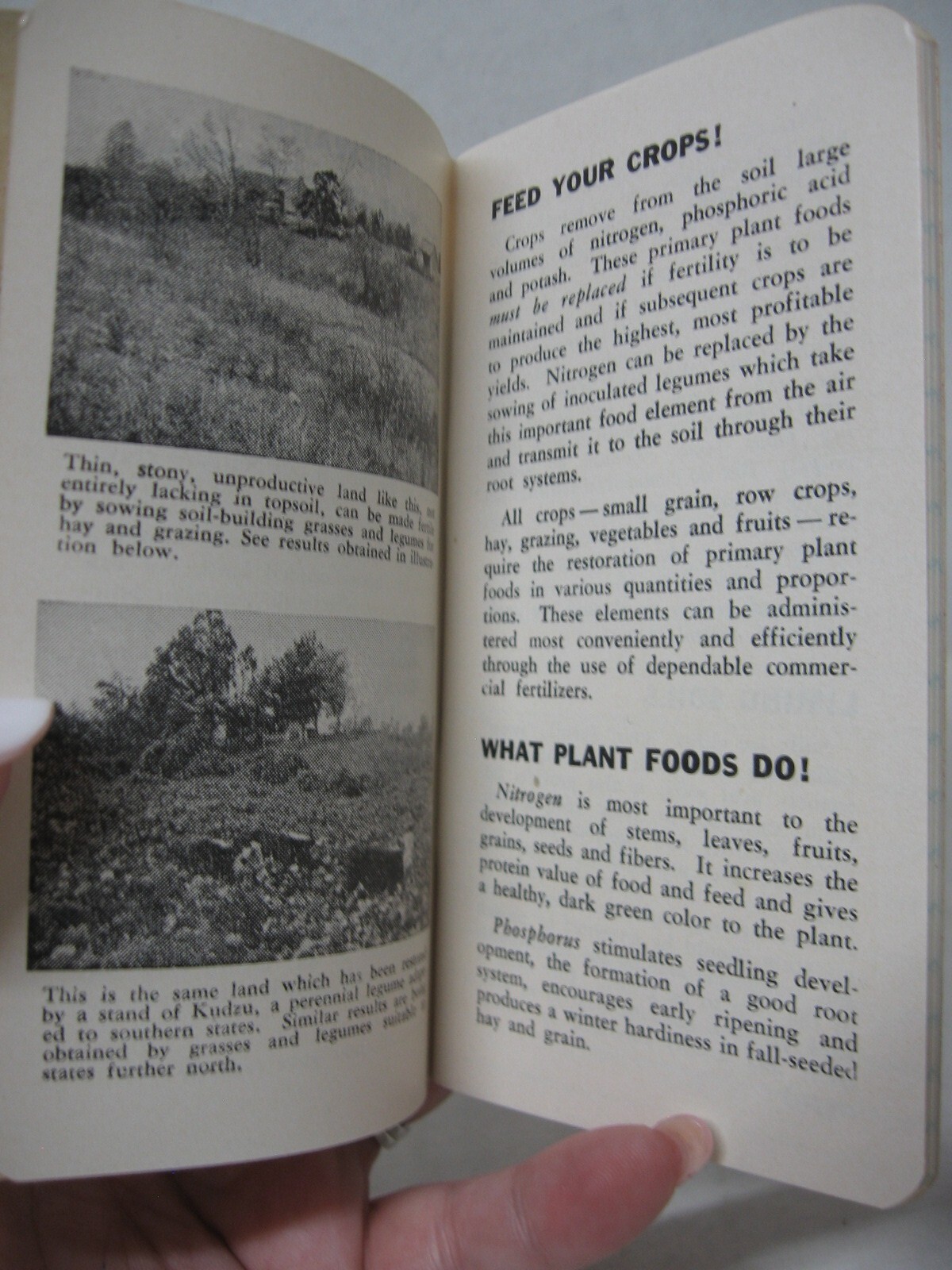 Vintage Federal Fertilizers Memo Note Book