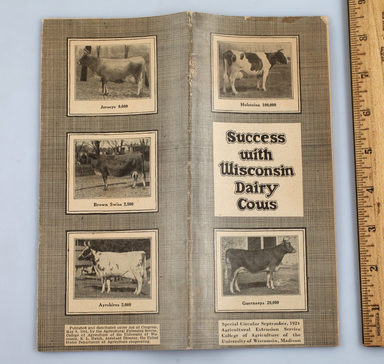1924 Success With Dairy Cows Booklet Wisconsin College of Agriculture Extension