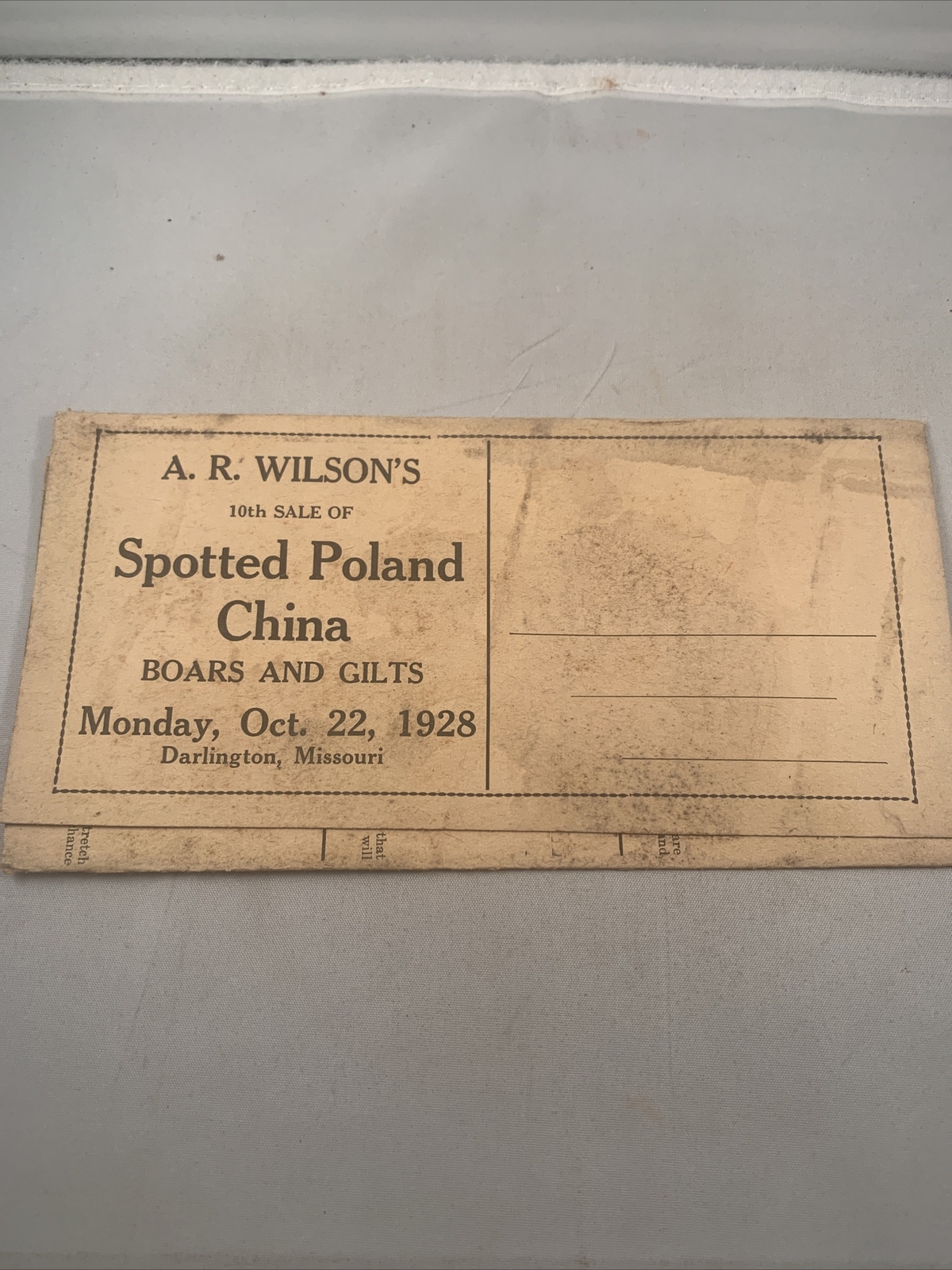 1928 Hog Sale Brochure Wilson’s Prolific Poland China Pig Farm Darlington MO