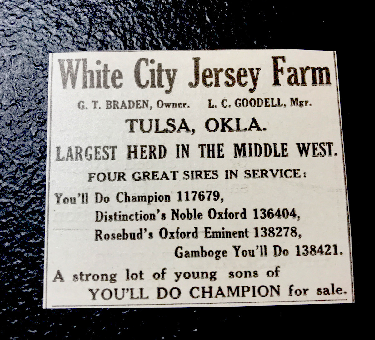 1917 White City Jersey Farm Cattle Advertising – Tulsa – Oklahoma – Cow
