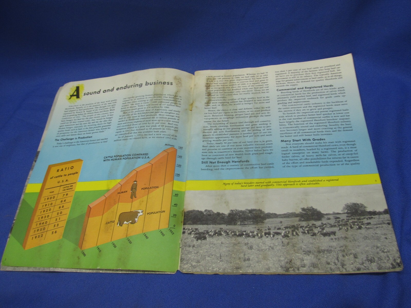 Your Future With Herefords Vintage Cattle Book Beef Cows American Association