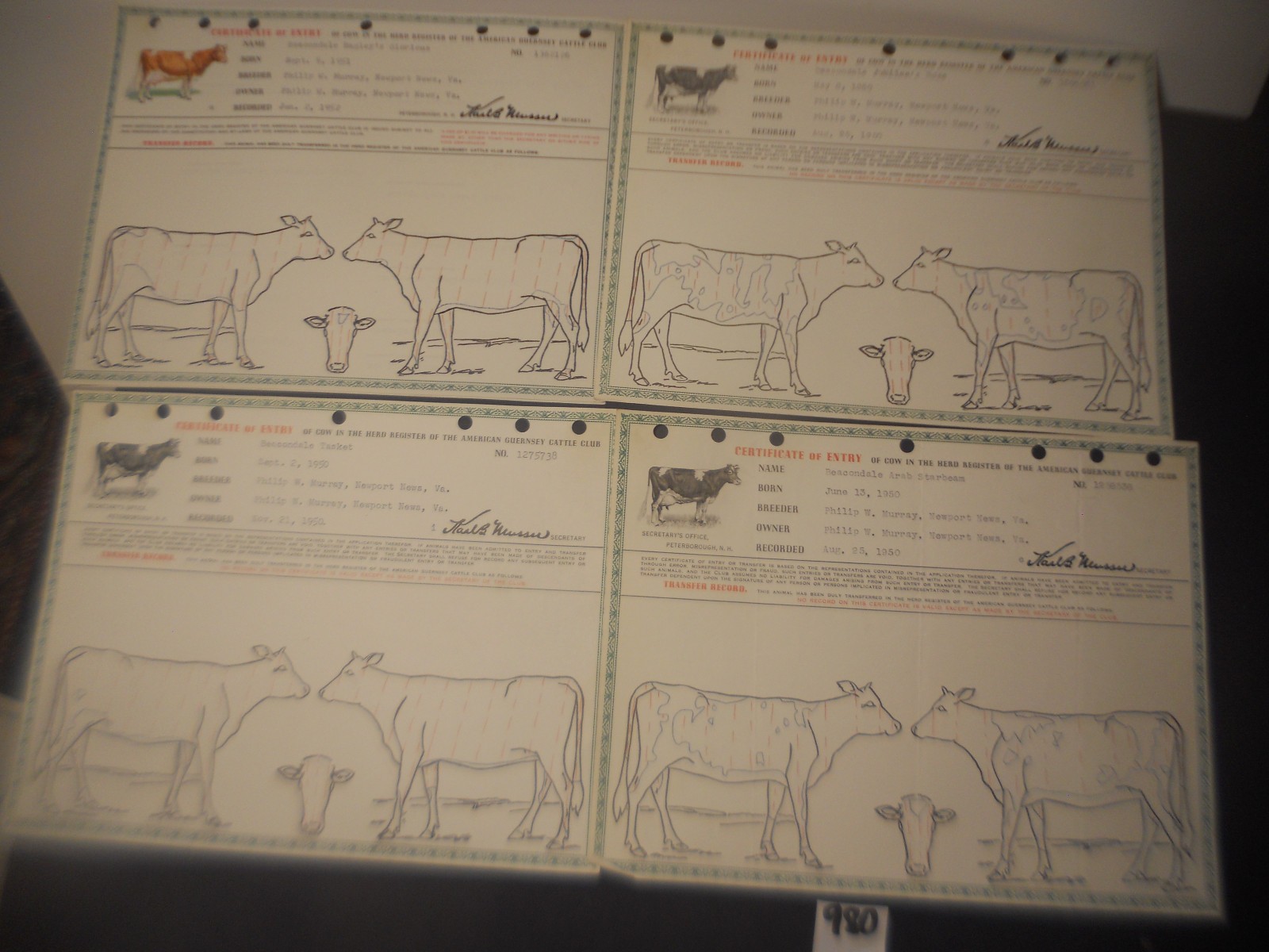 450+ CATTLE CLUB Vintage American GUERNSEY CERTIFICATES BOOKS Newport News VA