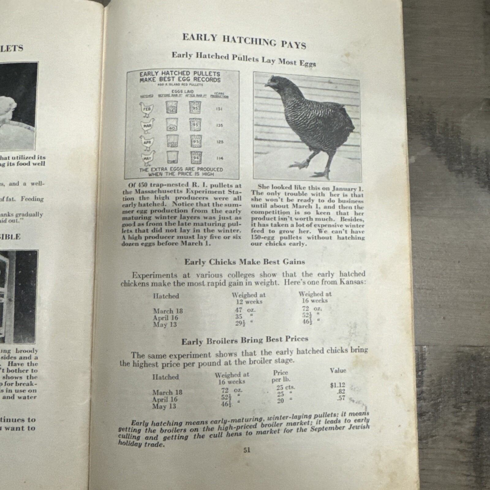 1926 Farm Poultry Pays International Harvester Company Booklet