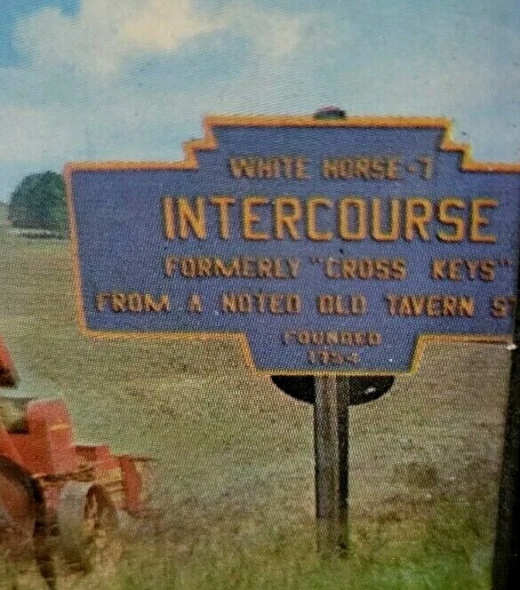 Farm Bird In Hand, PA Horses Collector Tin Tray vtg Farmhouse Plain & Fancy