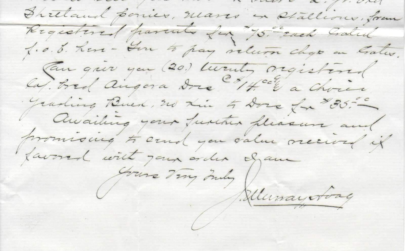 1901 Letter from Beldena Farms, Maquoketa, Iowa – Angora Sheep & Shetland Ponies