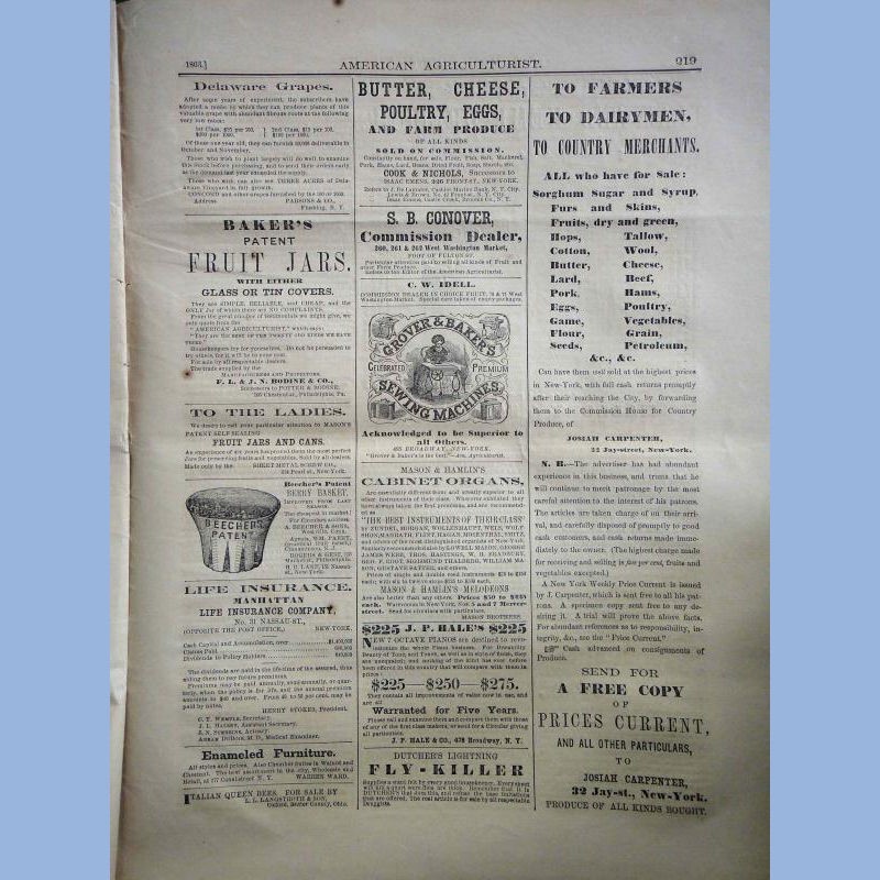 1863 JUL antique AMERICAN AGRICULTURIST farm garden household orange judd