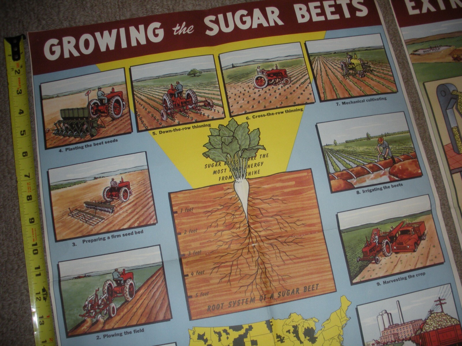 Rare Vintage 1950&rsquo;s? Extracting STORY Beet Sugar food Factory COMPLETE SET OF 4