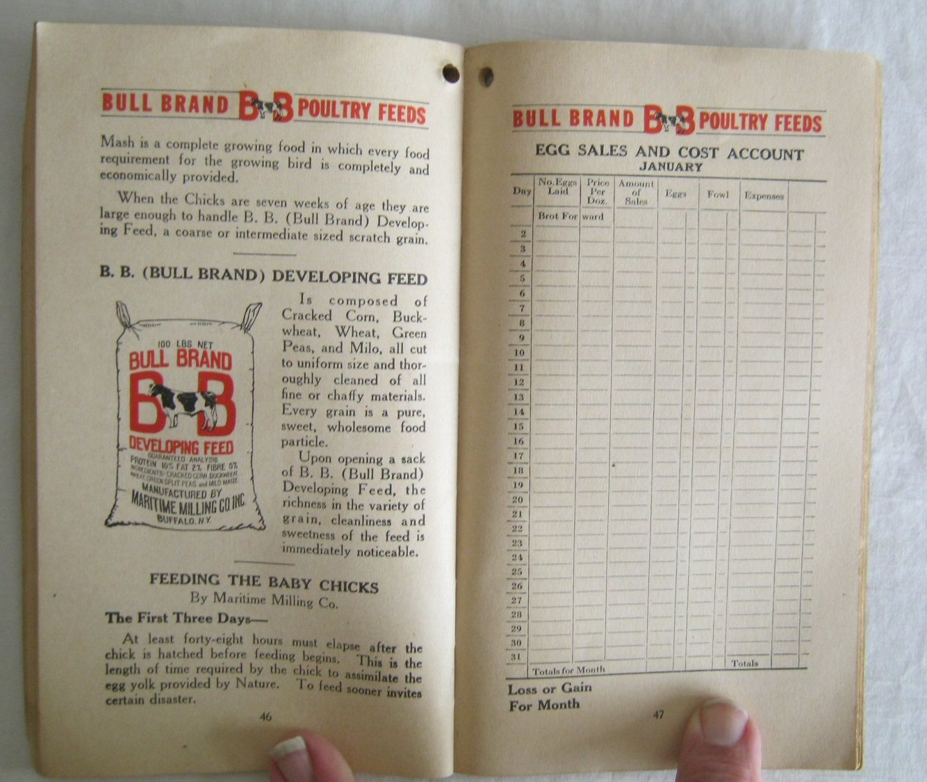Hints For Poultry Keepers Prof L N Gilmore Bull Brand Poultry Book Undated