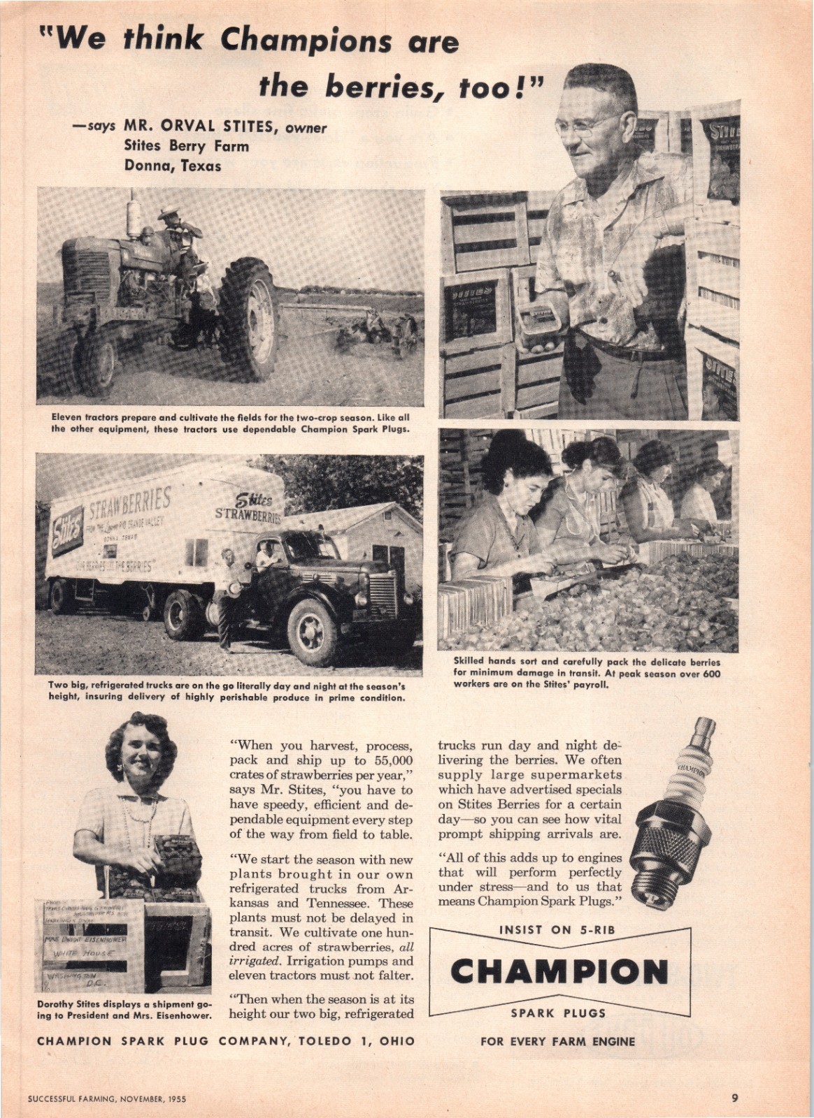 1955 Stiles Berry Farm Texas Strawberries Champion Spark Plugs 50&rsquo;s Print Ad