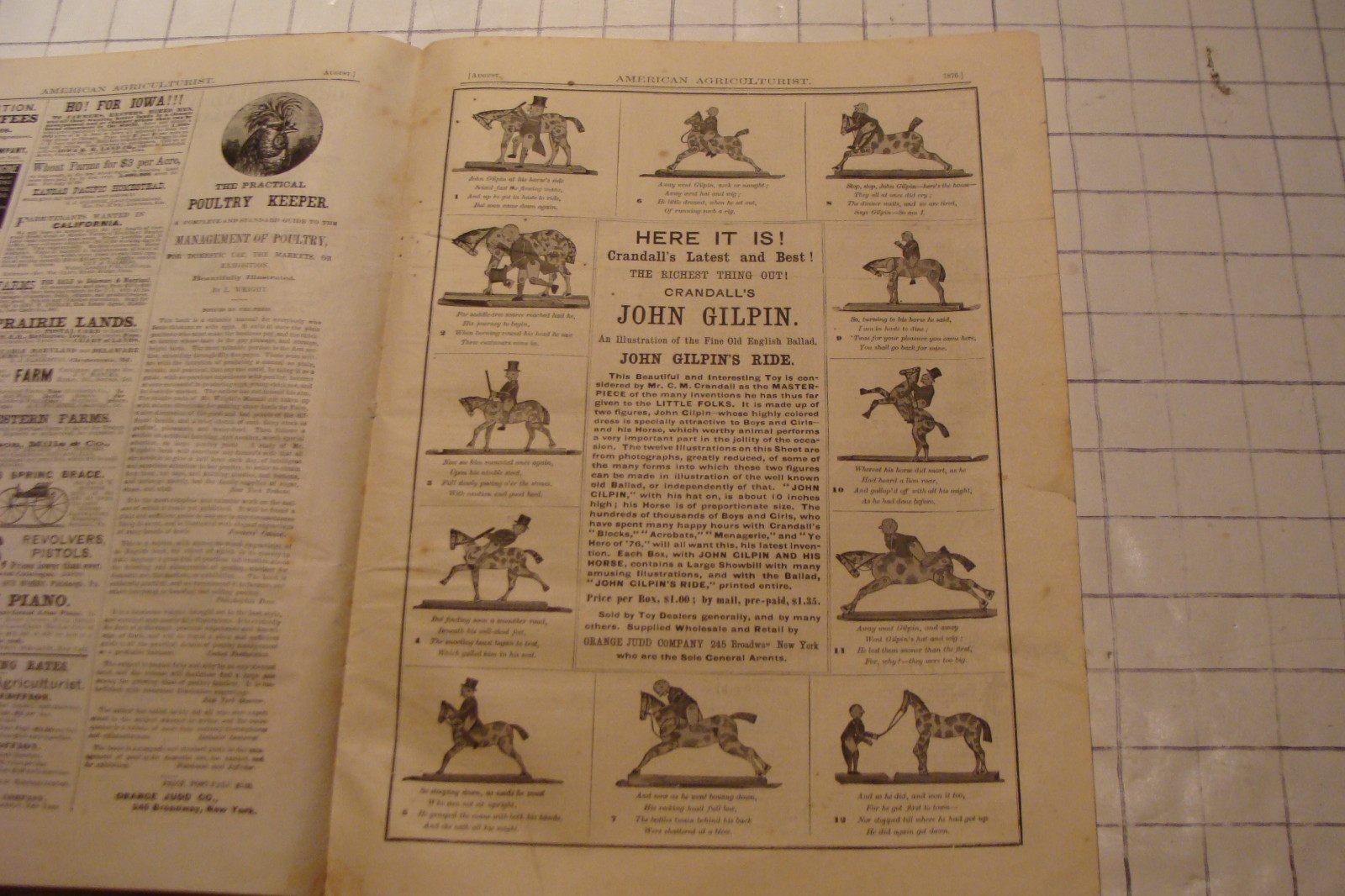 Vintage American Agriculturist 1876 august: TIGER, big puzzle, CRANDALL ADS