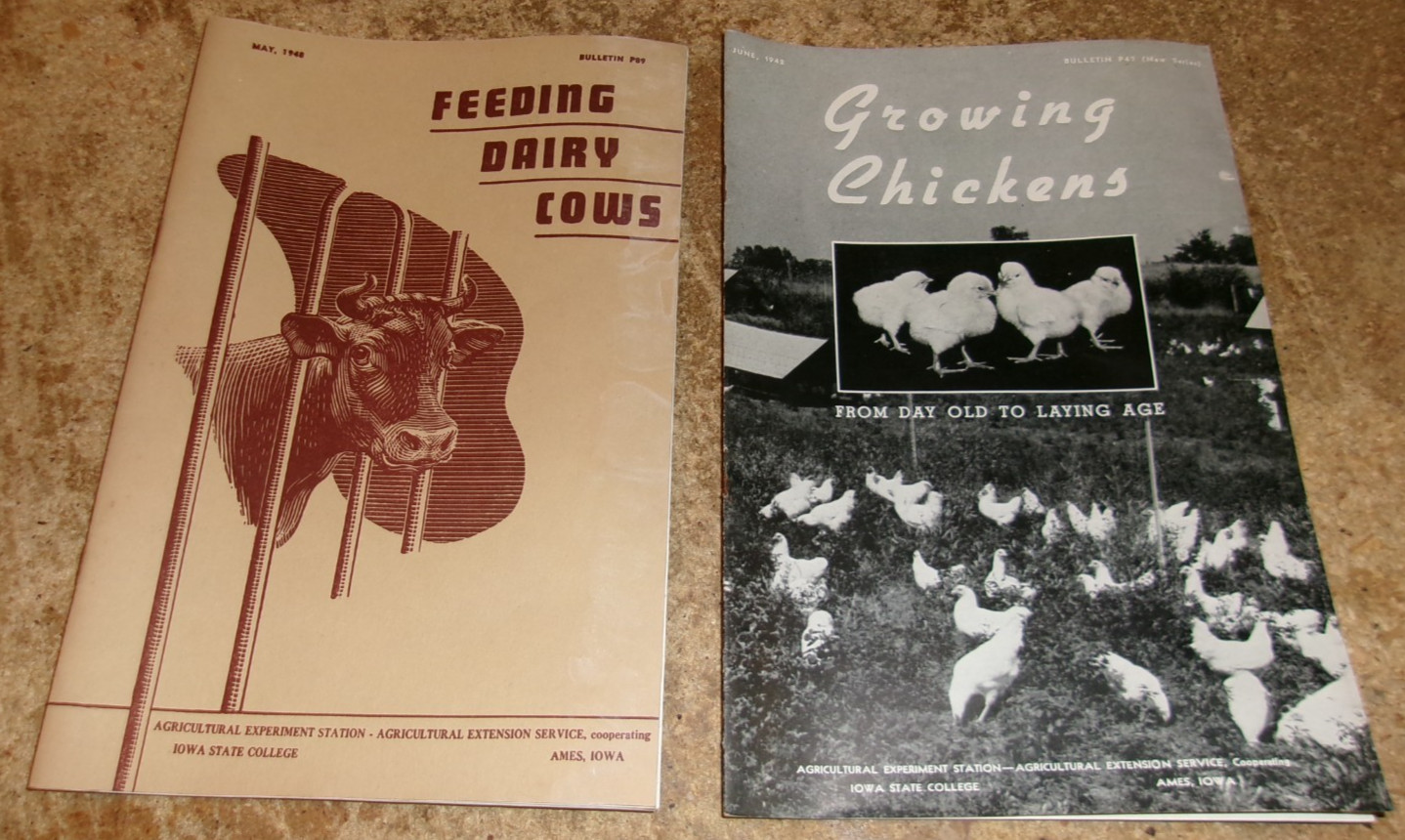 2-lot 1940&rsquo;s Iowa State chickens + dairy cows bulletins in good shape used