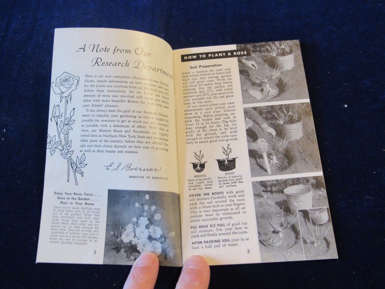 Vintage 1940-1950&rsquo;s Jackson & Perkins Rose Gardening Brochure B439