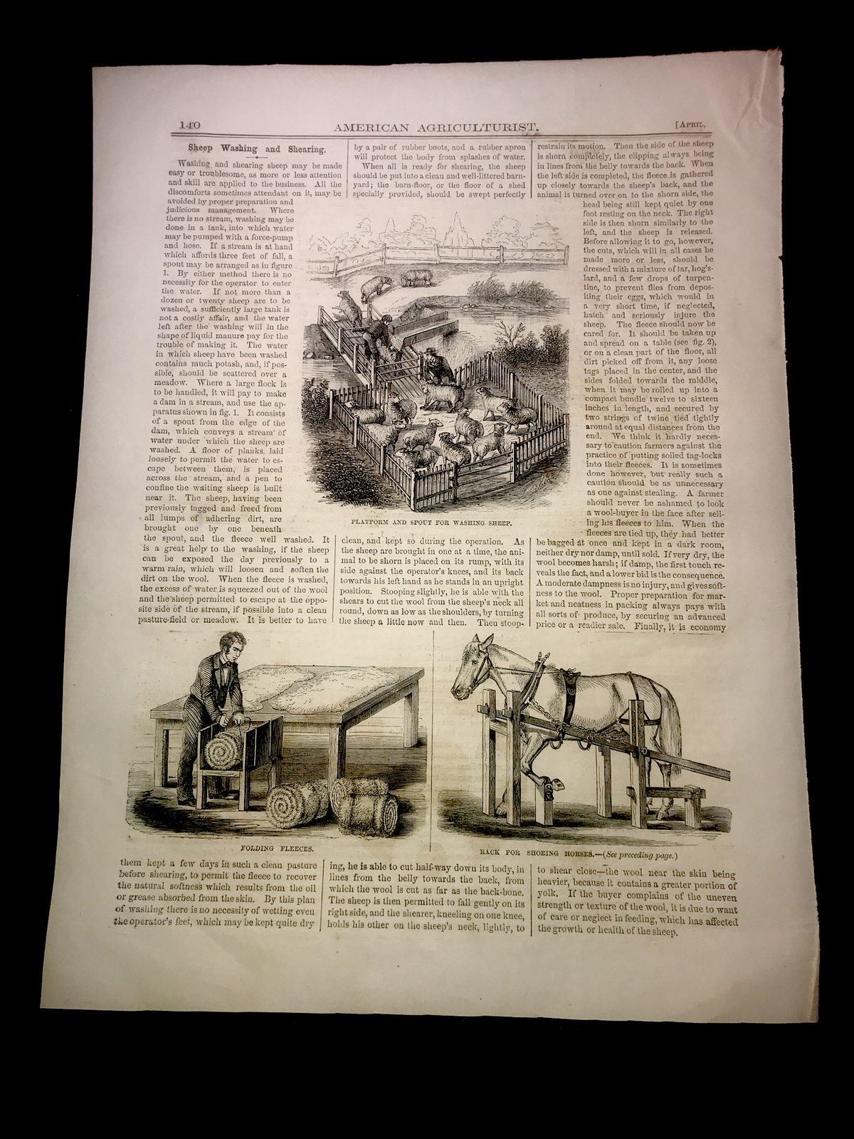 ORIGINAL 1872 Sheep & Horse Shoeing Farm Engraving Advertising & Article