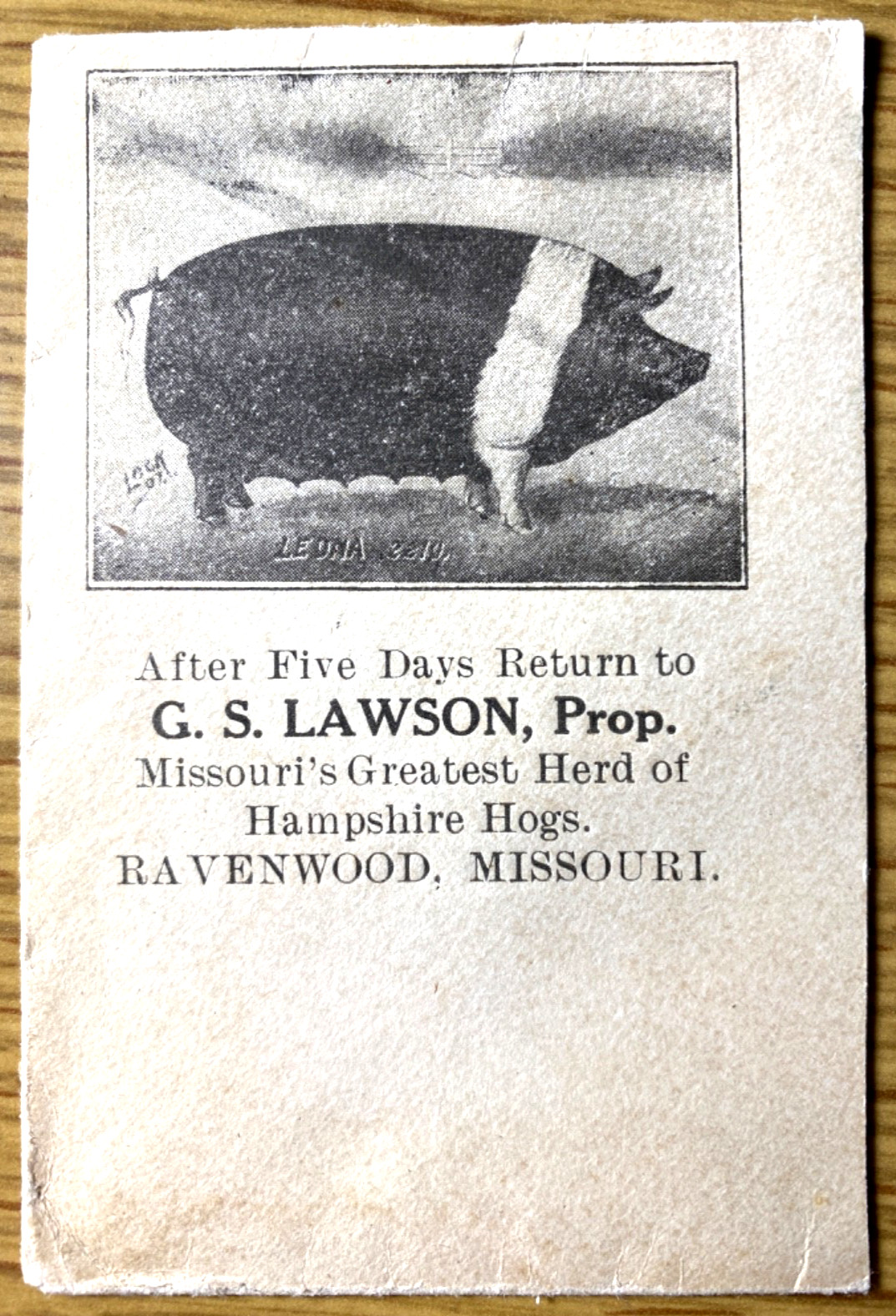 1913 LEONA THE 22 LB. PIG antique envelope heading (clipped) RAVENWOOD, MISSOURI