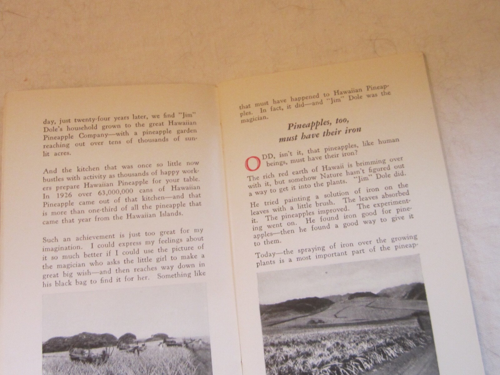 1929 Dole Hawaiian Pineapple Company Pamphlet Book Kingdom Grew from Boys Garden
