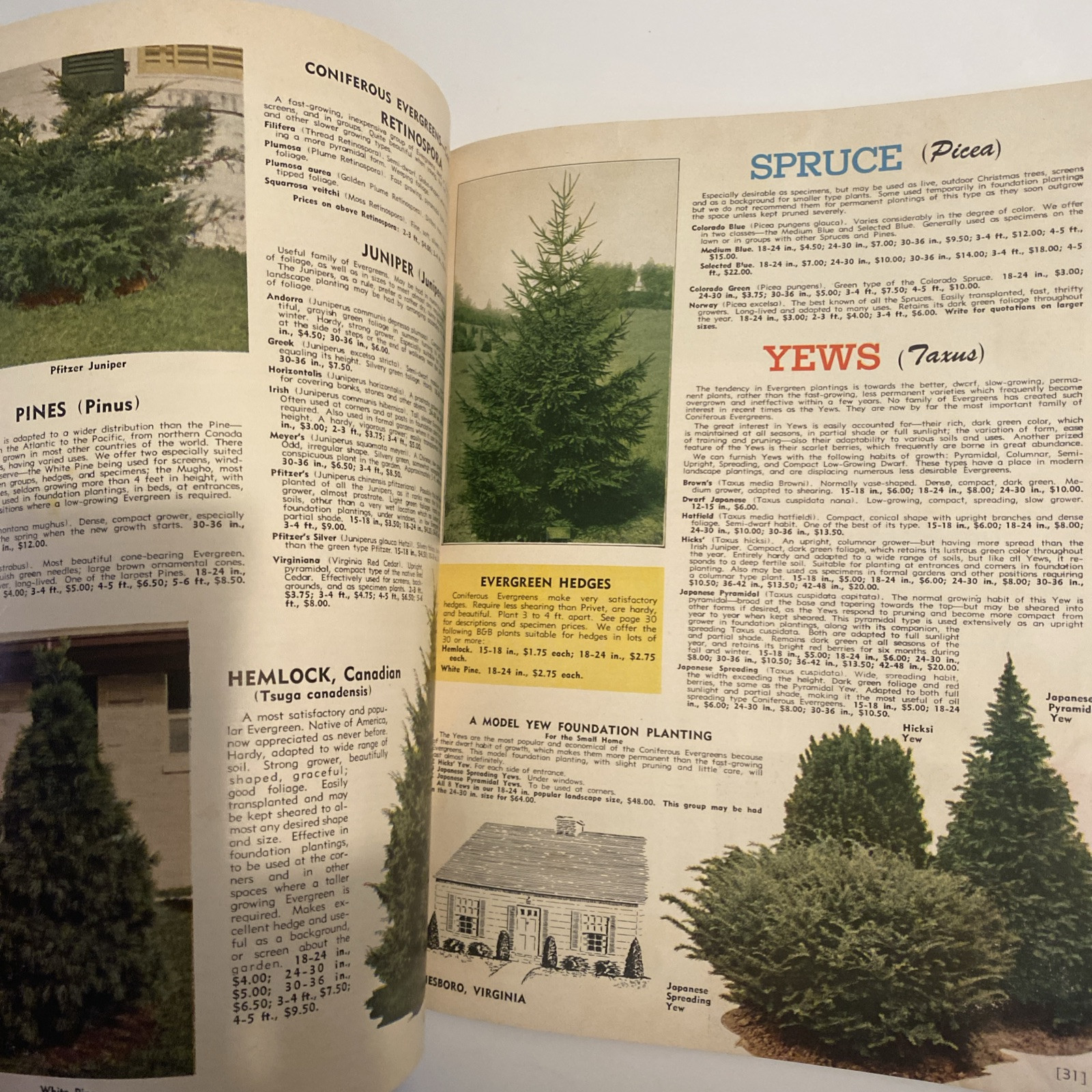 1952 VINTAGE WAYNESBORO NURSERIES FLOWER FRUIT SEED PLANTING CATALOG 48 Pgs