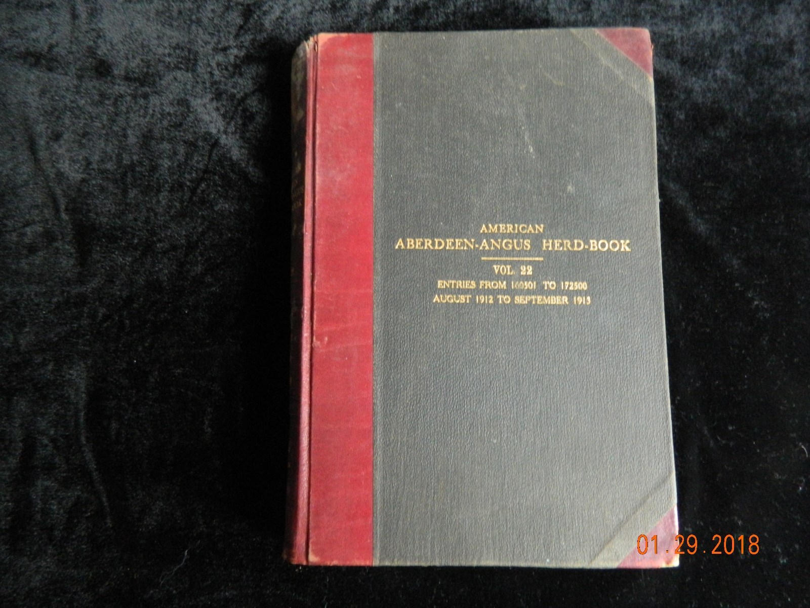 American Aberdeen-Angus Herd Book Vol 22 Original Hardcover RARE VINTAGE 1912