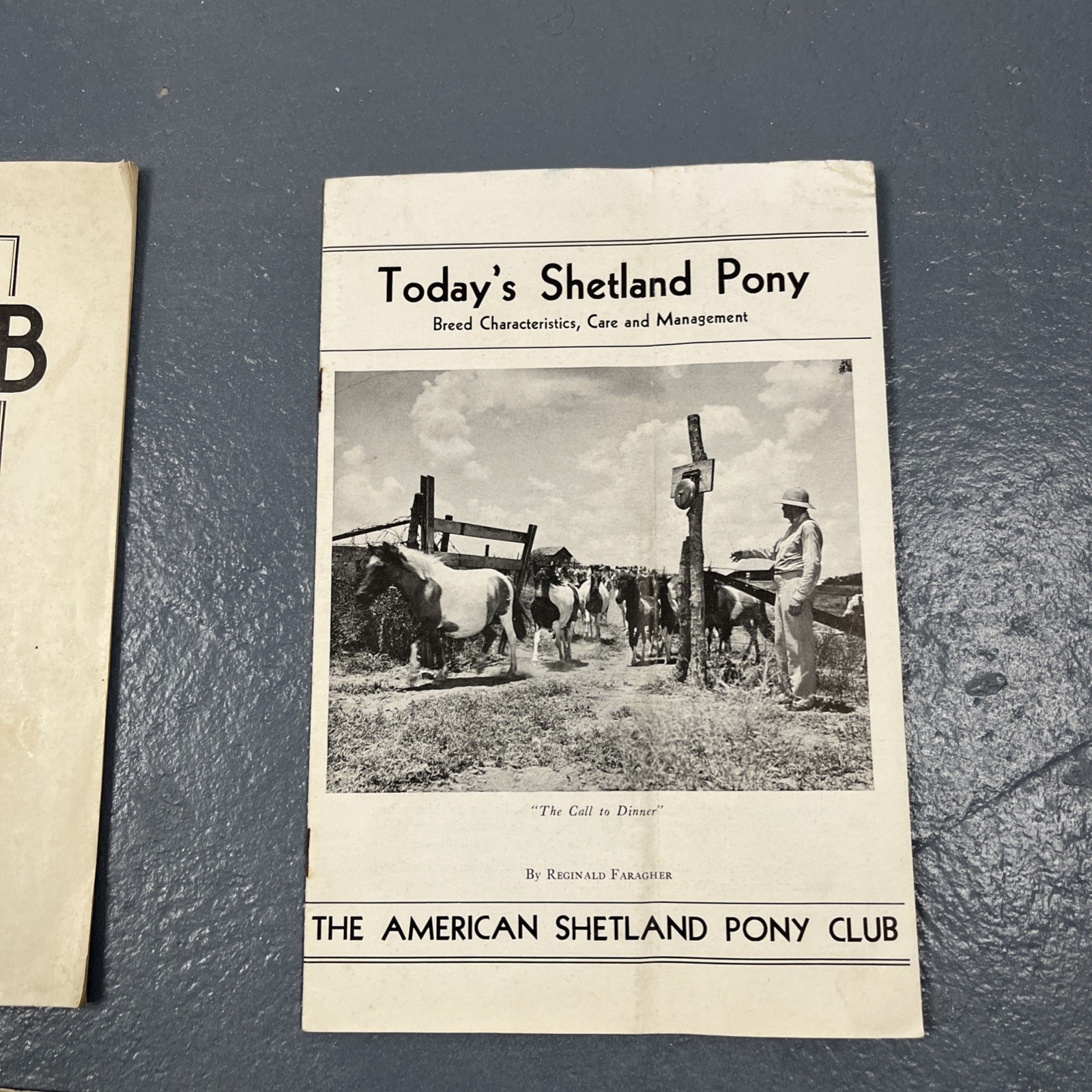 Lot Of Vintage 1930s & 1940s Farming Ephemera Livestock Cattle Club VTG Animal
