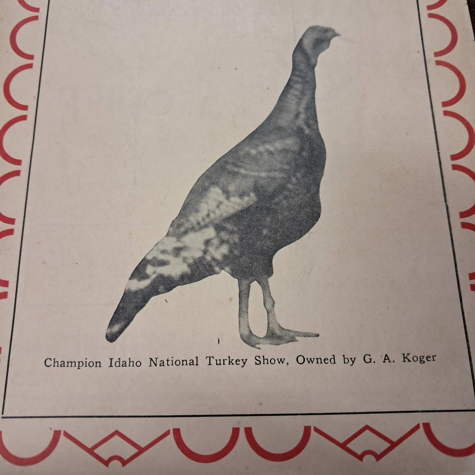 Vintage 1929 Turkey World Show Book & Talking Turkey Beacon Milling Co. N.Y.