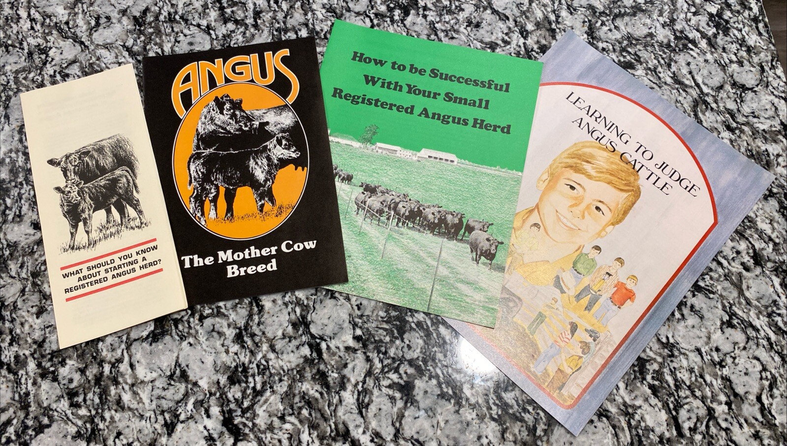 🔴🔵Lot of 4, RARE, Vintage, American Aberdeen Angus Association Pamphlets🔴🔵