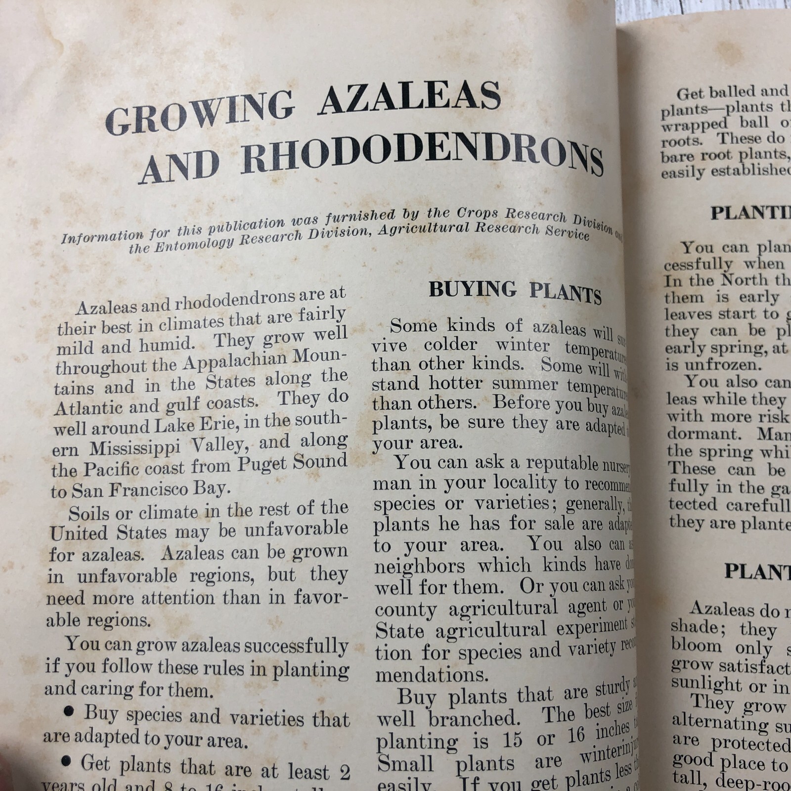 Vintage U.S. Department Of Agriculture Growing Azaleas & Rhododendrons Pamphlet