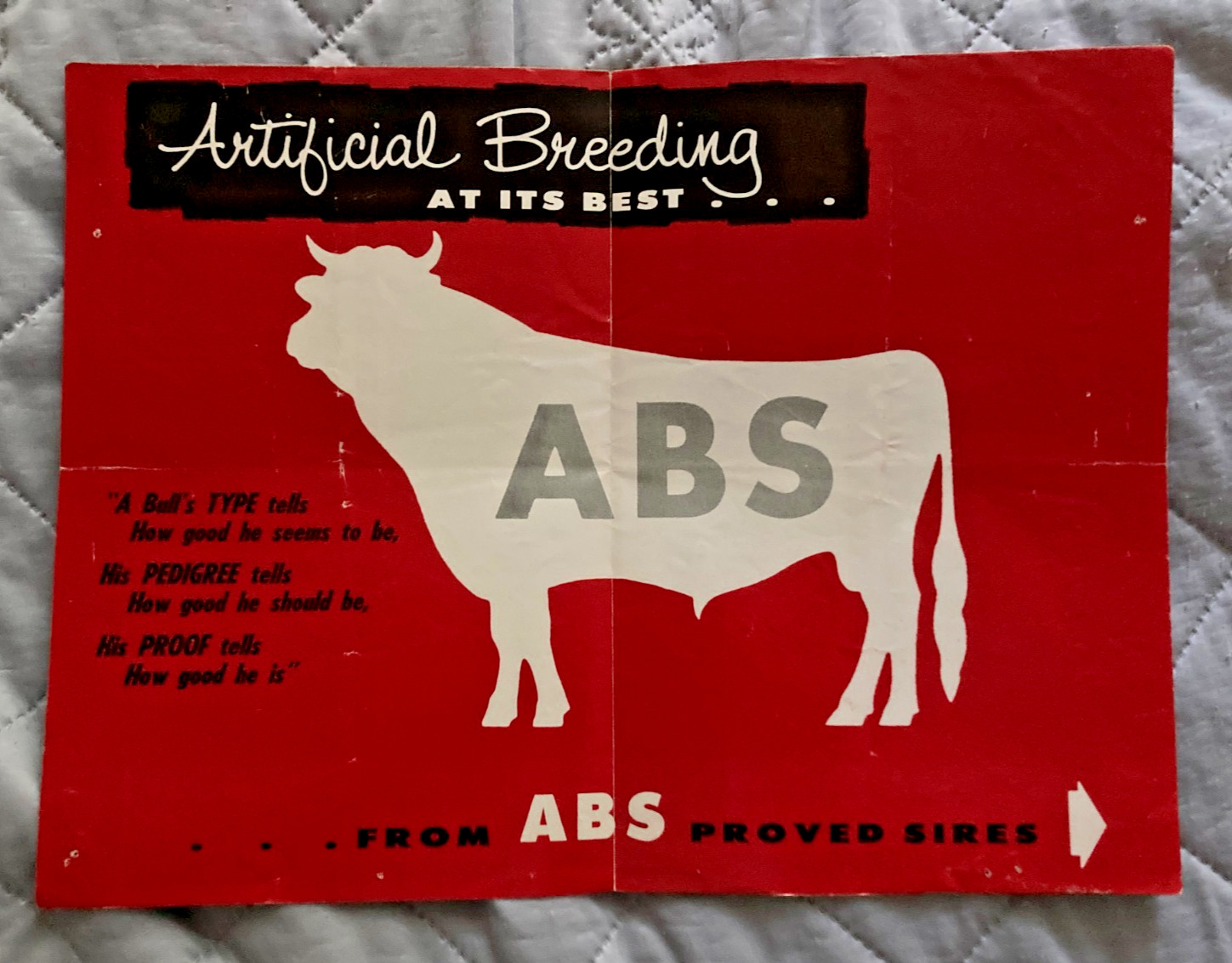 1957 American Breeders Service Foldout Brochure Artificial Breeding Dairy Cattle