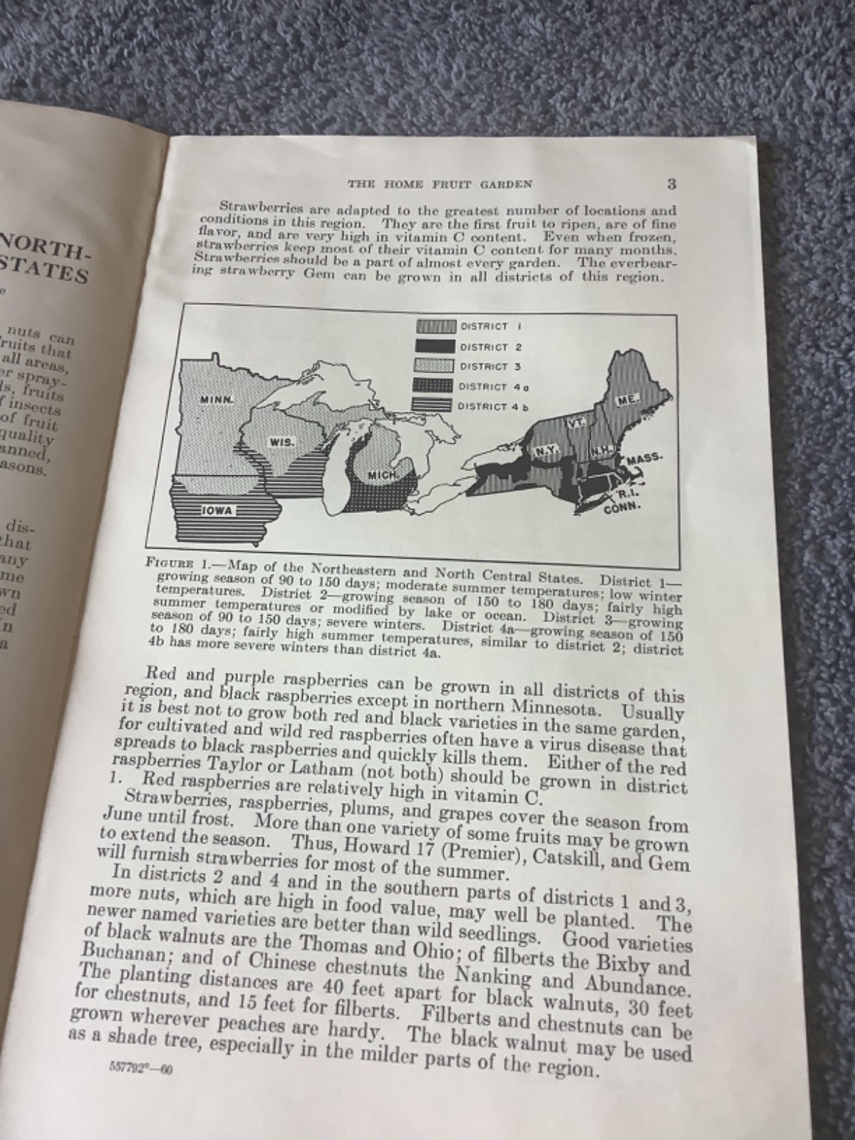 1952 USDA Leaflet #227 The Home Fruit Garden Northeastern North Central States
