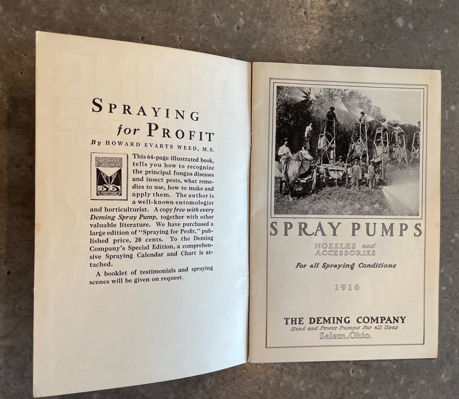 1916 Deming Spray Pump Catalog Orchard Vineyard Signed WP Dallett Letter