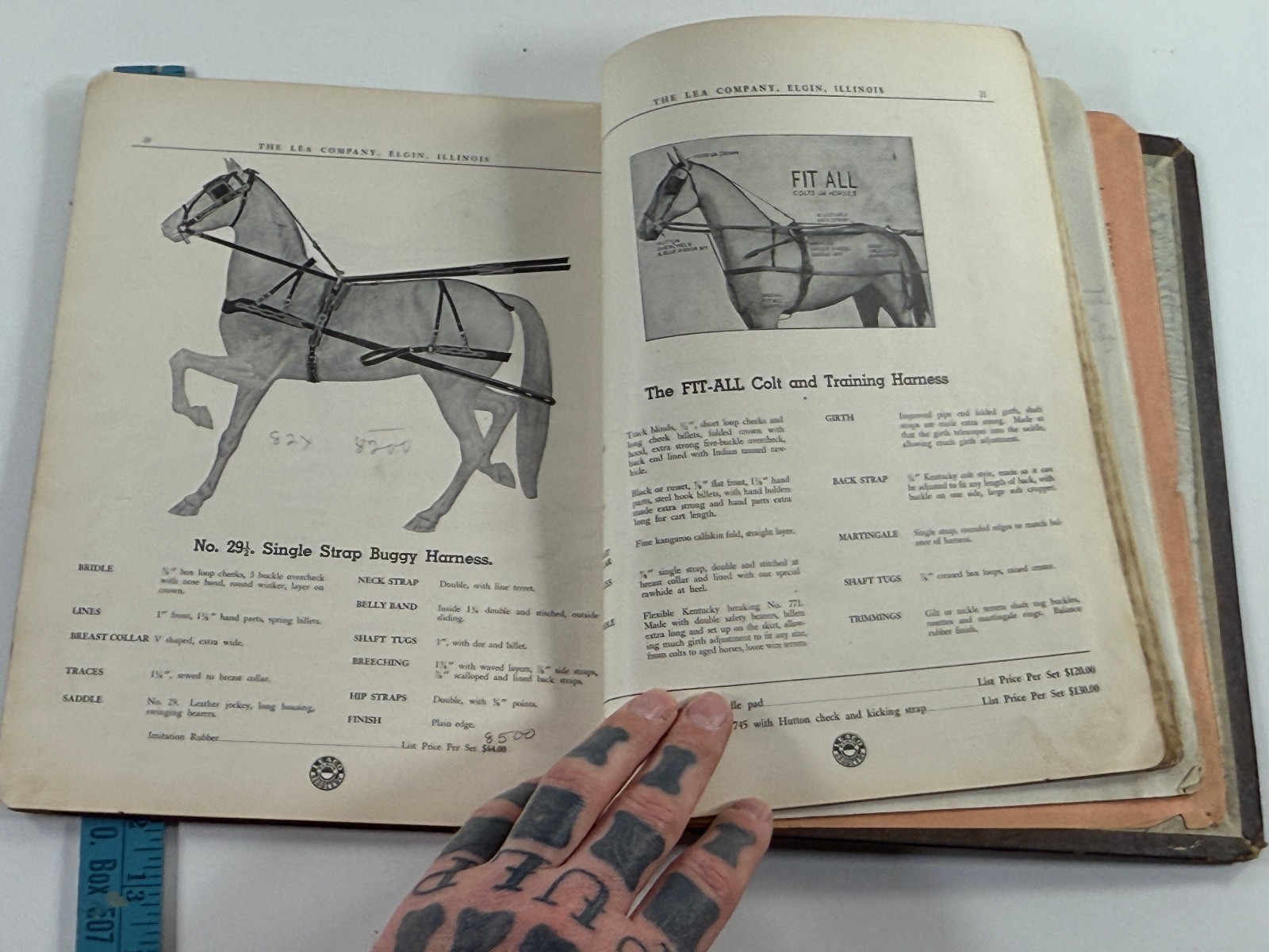 RARE 1890 Lea Co Horse Harness & Implement Catalog Book Saddles Elgin Illinois