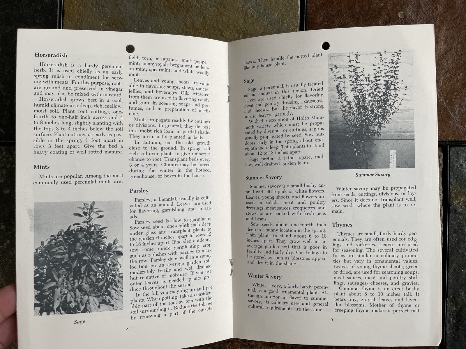 Vintage 1964 Culinary Herbs U of Minnesota Agricultural Extension Service.