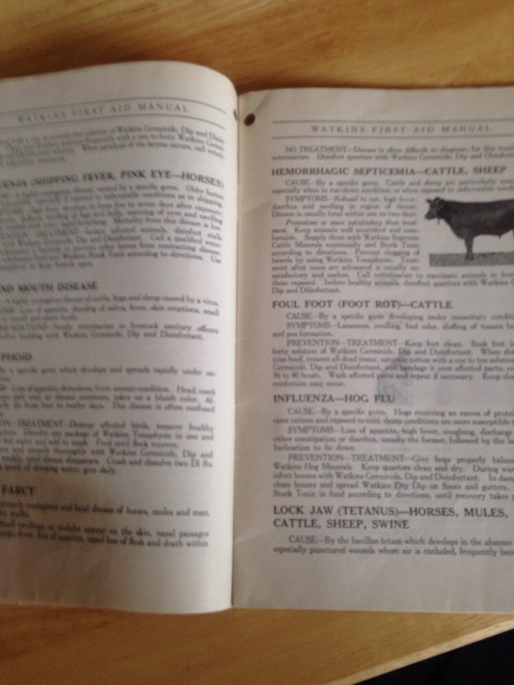 Vintage J Watkins First Aide Manual 1927 For Saving Livestock Losses