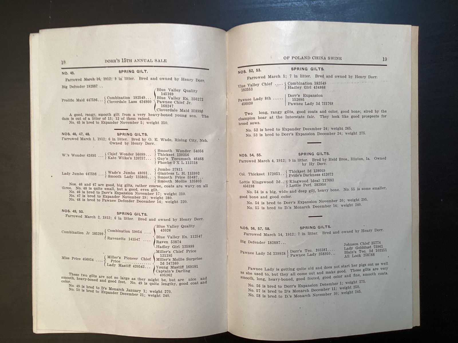 1913 Poland China Sows Sale Catalogue, Henry Dorr, Marcus IA