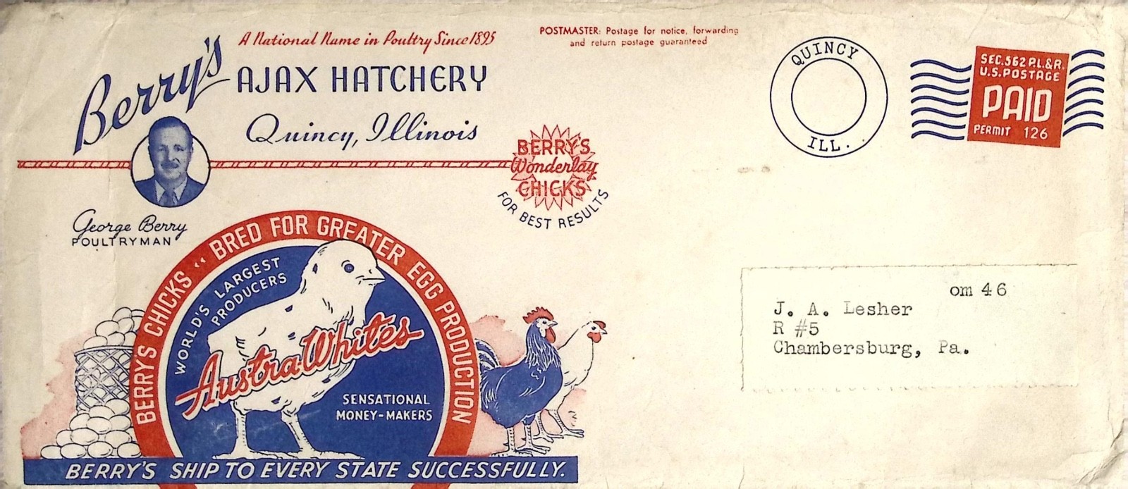 Vintage Berrys Ajax Hatchery Quincy Illinois Austra Whites Poultry Advertising
