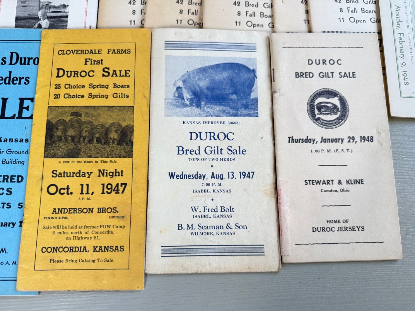 Mixed Lot of 34 Vintage Duroc Pig Hog Auction Sale Brochure Advertising KS NE CO