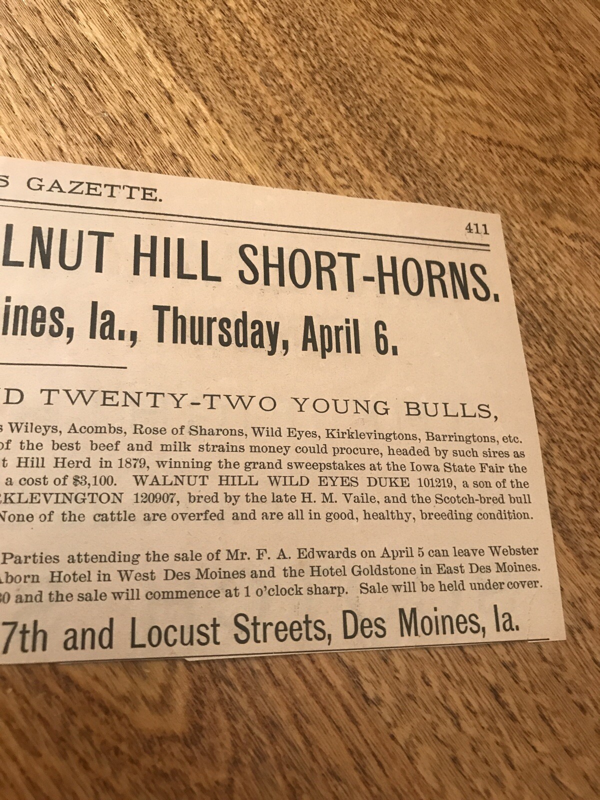 1899 Shorthorn Cattle Public Sale – Des Moines – Iowa – Cow Advertising