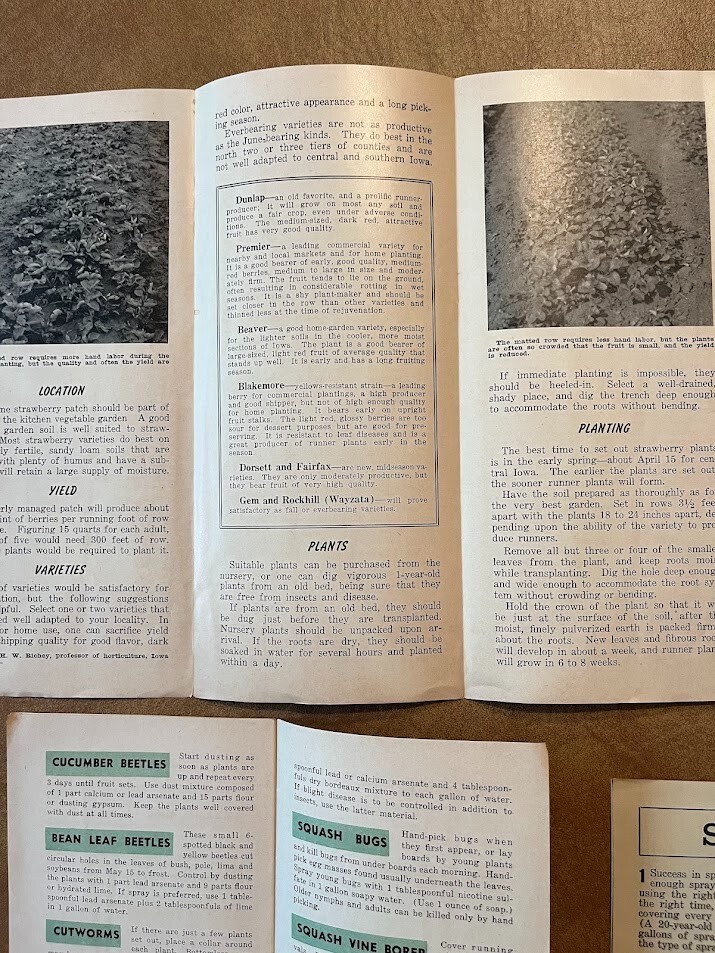 Vintage 1944 Iowa State College Agricultural Ext. Service Pamphlet Lot of 4