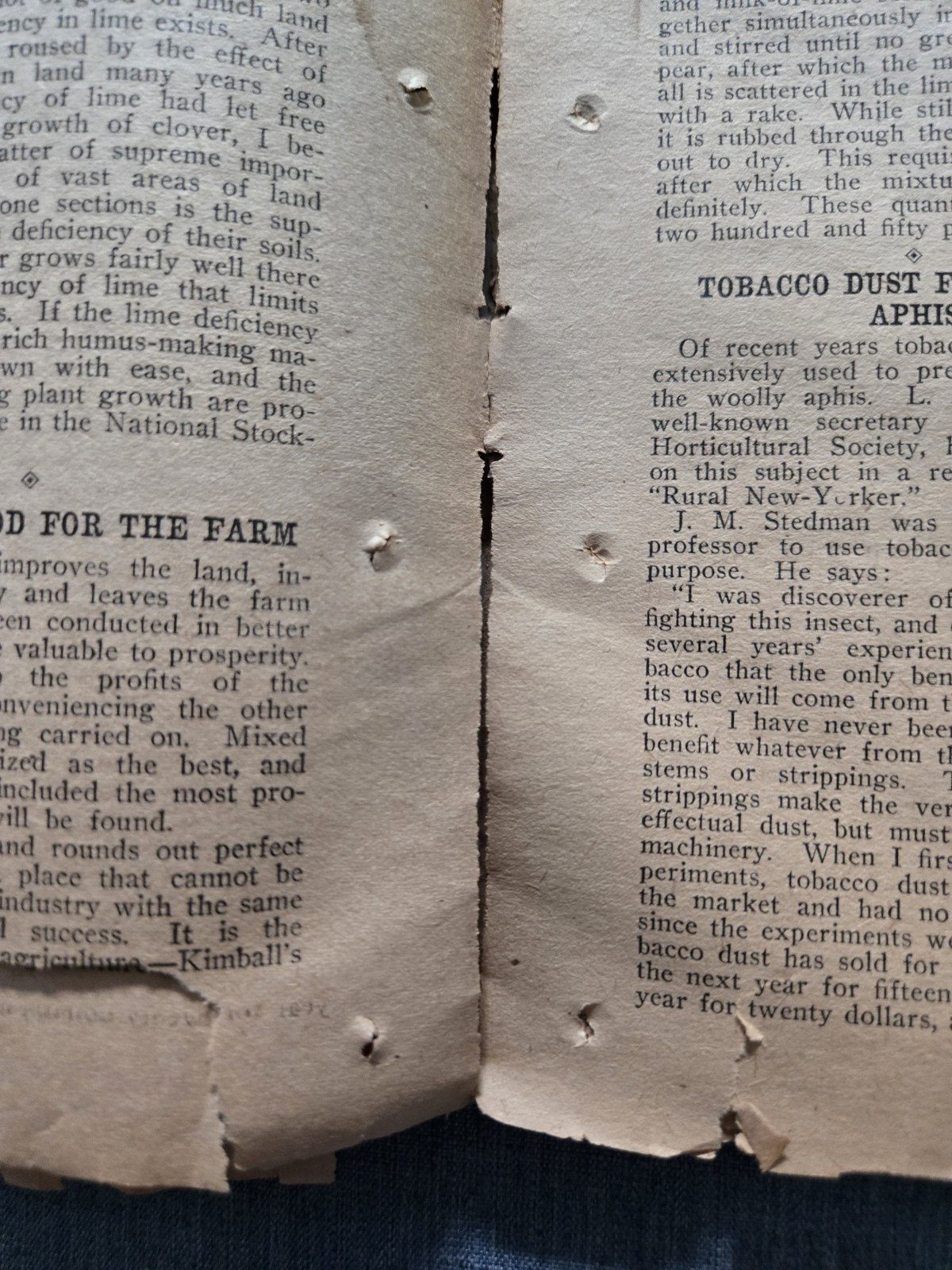 Farm & Fireside Newspaper – Antique Agriculture 1907 Articles Ads Illustrations