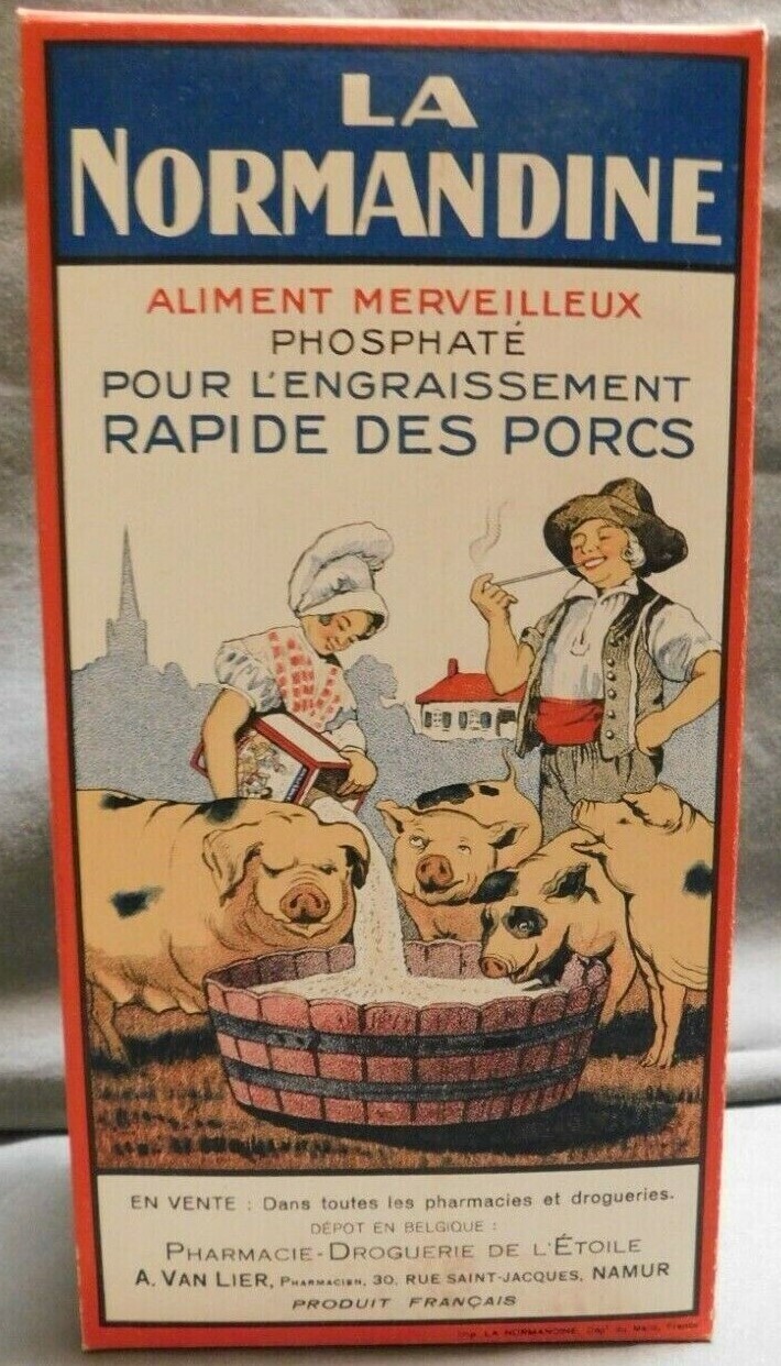 Rare Large Antique Vintage 1910s Normandine Pig Medicine Box, Farm Decor!
