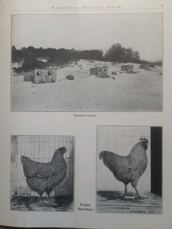 1911 Excelsior Poultry Farm T Carter Jonesdale WI Mineral Point Dodgeville Area