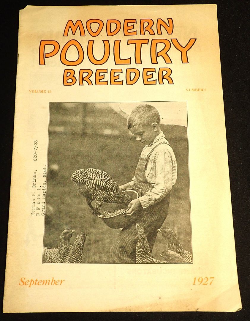 Modern Poultry Breeder Magazine November 1927 Vol 43 Number 9 Sept